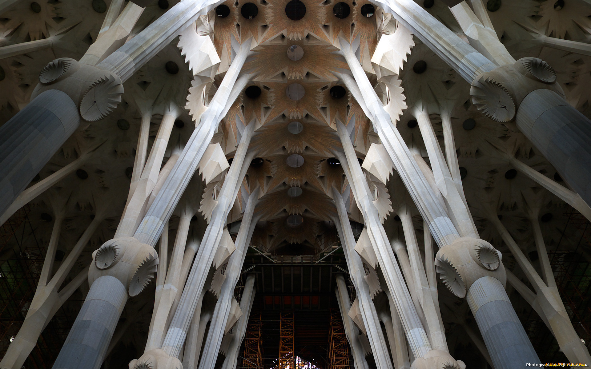 sagrada, familia, inside, barcelona, , , , 